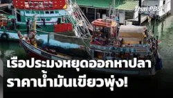 เรือประมงหยุดออกหาปลา หลังราคาน้ำมันเขียวพุ่ง | วันใหม่ ไทยพีบีเอส | 17 มี.ค. 69
