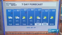 10. Погода в Тампа-Бэй | Вторник, 24 марта, после обеда