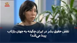 Positions of Mai Sato, Special Rapporteur on Human Rights in Iran; How Are Human Rights Violation...