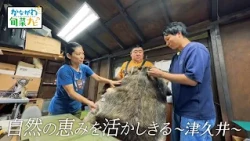 「自然の恵みを活かしきる～津久井～」かながわ旬菜ナビ 2026/10/11放送
