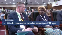 Cameroun - 14ème Conférence ministérielle de l'OMC :  appel à un système commercial plus inclusif