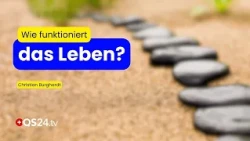 The Essence of Life: What Are We and What Do We Live On? | Christian Burghardt | QS24 Panel