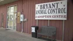 Bryant Animal Control director speaks on recent case of animal cruelty that left a cat dead