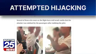 Pilot stabs co-pilot, allegedly tries to crash flight carrying Israelis before emergency landing