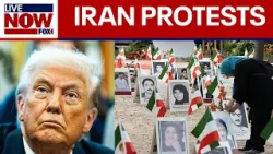 Trump: Iran executions halted after warnings