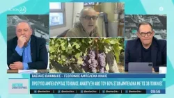 Πρότυπο αμπελουργίας το Κιλκίς: Ανάπτυξη άνω του 60% στον αμπελώνα που διαθέτει 38 ποικιλίες