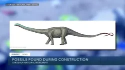 New dinosaur fossils found during construction at Dinosaur National Monument