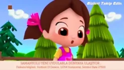 samanyolu TV HD hotbird uydusu  frekans bilgileri