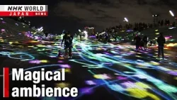 Lightshow transforms Yokohama waterfrontーNHK WORLD-JAPAN NEWS