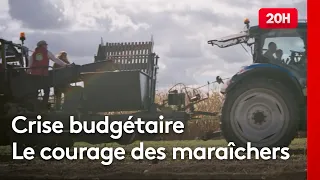 Agriculture: Market gardeners betting on direct sales