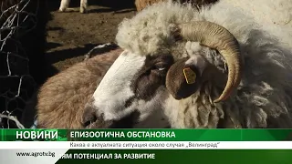 ЕПИЗООТИЧНА ОБСТАНОВКА: Каква е актуалната ситуация около случая „Велинград“