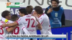 Le ultime da Padova, avversario dell'Avellino: out Bortolussi e Gomez Le ultime da Padova, avversario dell'Avellino: out Bortolussi e Gomez