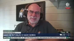 Arroba firme em fevereiro favorece criador e pressiona recria Arroba firme em fevereiro favorece criador e pressiona recria