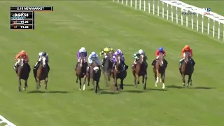 Planet Seeker 🏇 تفوز بشوط "HKJC Worldpool Fillies' Handicap"✨ ضمن مهرجان جولاي كب على مضمار نيوماركت