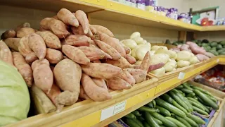 AGRO INFO | 08/13/2026 | TV Republika