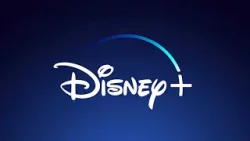 Disney + : "En moyenne, il y a 2,5 abonnements par foyer" (David Popineau)