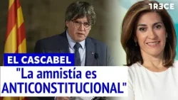 Carlos Vidal: "La Constitución permite un indulto individual, pero no uno colectivo"