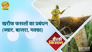 Hello Kisan: Kharif Crop Management (Sorghum, Pearl Millet, Maize) | DD Kisan | 08/28/2026