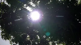 Ineter: Arrival of tropical waves 13 and 14 expected in Nicaragua
