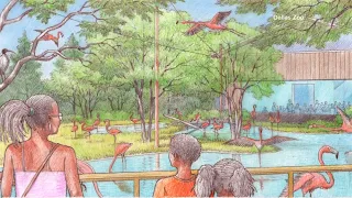 Dallas approves $28M for first phase of Zoo expansion