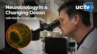 Neurobiology in a Changing Ocean with Martin Tresguerres