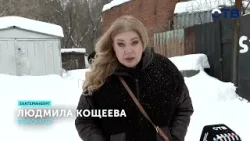 Зоозащитники сообщили о жестоком убийстве собаки в Совхозном