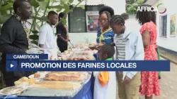 Cameroun - promotion de la farine locale : 15% de farines locales autorisées dans le pain