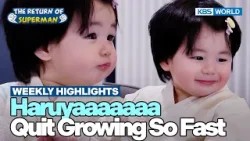 [Weekly Highlights] This Time Haru Stands for Real? [The Return of Superman] | KBS WORLD TV 260208