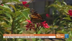 New butterfly botanical native garden opens