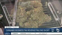 City of San Diego's cannabis tax revenue falling short