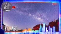 Vibrant Hong Kong - Stargazing