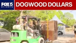 Почему в этом году вам придётся платить за фестиваль Dogwood Fest | FOX 5 News
