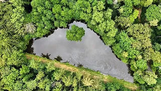The Cube: Crece la avalancha de contenidos por IA falsos sobre el cambio climático