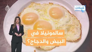 شبكات | السالمونيلا ترعب أوروبا.. هل البيض والدجاج هما السبب؟