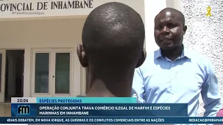 Joint operation against illegal ivory trade in Inhambane #Environment @MiramarNews