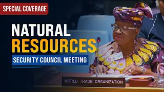 Critical minerals: Global demand should harness new wealth - WTO Briefing | United Nations