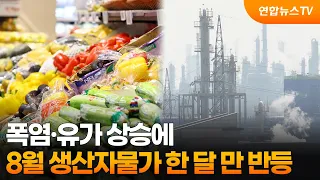 August Producer Prices Rebound After One Month Due to Heatwave and Rising Oil Prices / YonhapnewsTV