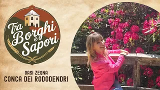TRA BORGHI E SAPORI - Oasi Zegna CONCA DEI RODODENDRI