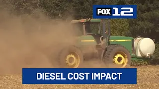 Local farmers impacted by rising diesel prices