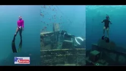 Buceo a pulmón, deporte extremo que crece en RD