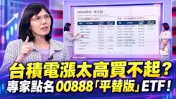 Can't Afford TSMC? Try These "Budget-Friendly" ETFs Instead! Does 00888's 120% Annual Return Crus...
