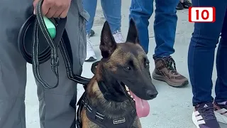 CANCUN REINFORCES PREVENTION CULTURE WITH NATIONAL DRILL