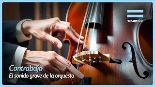 Double Bass: The Deep Sound of the Orchestra | Ensembles | Encounter