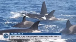 THE MIRADOR - NEWS - 10/14/2026 10:07:22