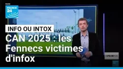 Vol de ballons, de cacahuètes : à la CAN, la sélection algérienne cible d'infox • FRANCE 24 Vol de ballons, de cacahuètes : à la CAN, la sélection algérienne cible d'infox • FRANCE 24