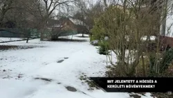 BP13 kerületi magazin 2026 02 02