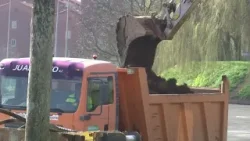 A PIE DE BARRIO CARANZA 07 04 2026 A PIE DE BARRIO CARANZA 07 04 2026