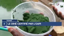 Tchad : le DIHÉ certifié Indication Géographique Protégée (IGP)