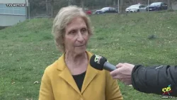 Area cani a Erba Superiore dinnanzi all'asilo, i dubbi di Erba Civica