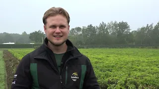 Timo grows peanuts